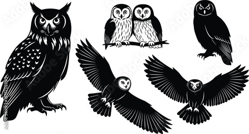 Owl vector illustration collection featuring great horned owl, snowy owls, nocturnal birds of prey silhouettes, flying barn owl icons for wildlife design,