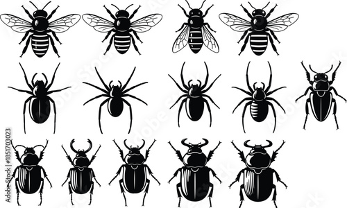 Set of insect silhouettes including honey bees, spiders, and stag beetles, isolated vector icons for nature design, biology education, pest control, and graphics