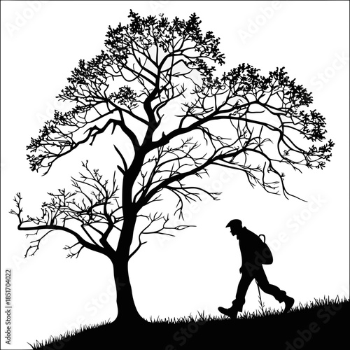 Silhouette of a traveler and a tree