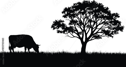 Cow grazing silhouette tethered to tree, pastoral livestock scene, grazing cow on grass, single-line vector, rural landscape, nature iconography, minimalist vintage