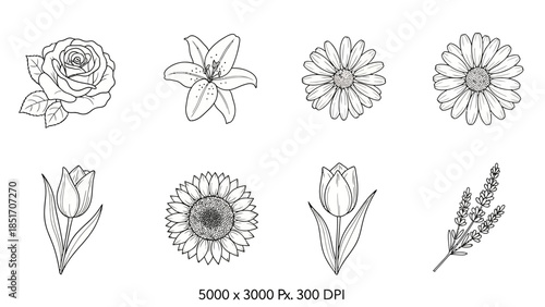 Black and white outline drawings of garden flowers including roses, lilies, daisies, tulips, sunflowers, and lavender for various creative design projects on a white background