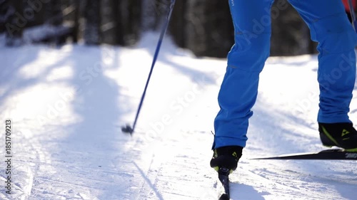 Skiers in the park cross-country skiing