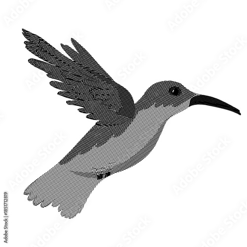 vintage halftone engraving depicting a hummingbird. A tropical hummingbird.  Vector stock illustration.  Isolated on a white background.