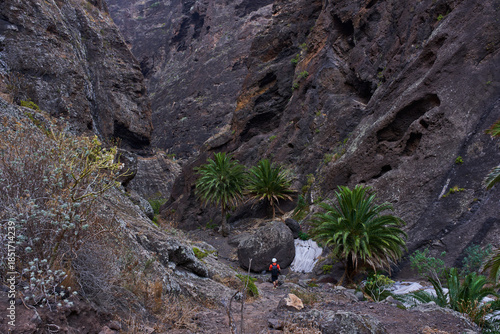 Steep cliffs of Masca gorge