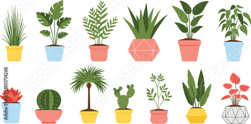 A diverse set of beautiful green home and office indoor plants, including succulents, palms, ferns, and exotic foliage in colorful modern pots, vector illustration