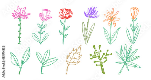 kid pencil doodle hand drawing crayon, wax, pencil, chalk or charcoal texture. childlike flowers and plants and leaves illustration. messy and colorful vector art	
