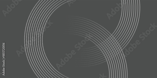 Elegant Grey and Silver Abstract Curve Lines Background, Vector Illustration.