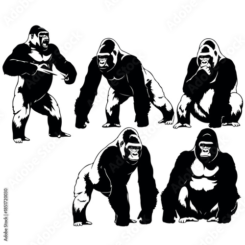 Collection of powerful gorilla illustrations in various poses.