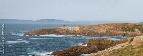 Cliffside Serenity by the Azure Atlantic Ocean