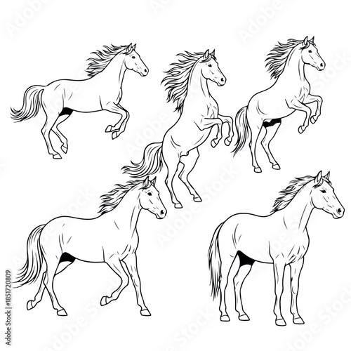 Dynamic collection of five horses in various poses showcasing their strength and grace.