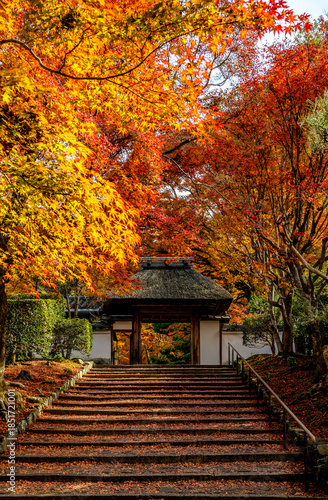 Anraku-ji Temple photographed in Autumn, Kyoto, Japan