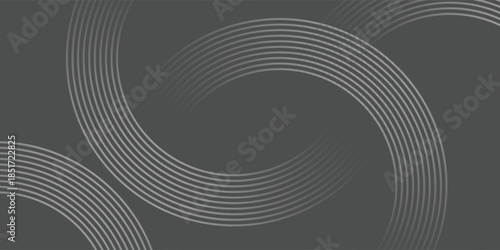 Elegant Grey and Silver Abstract Curve Lines Background, Vector Illustration.