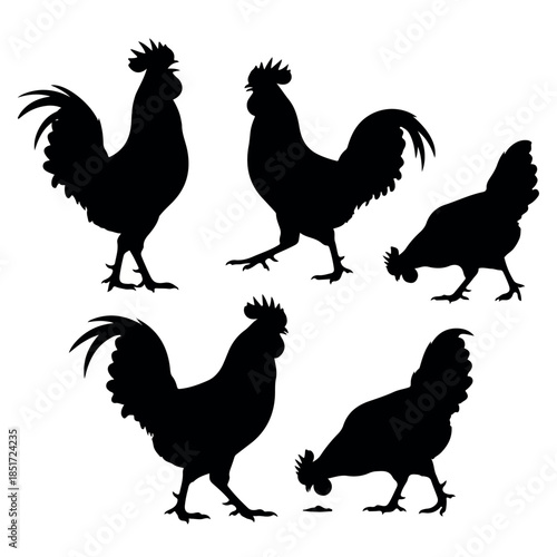 Silhouettes of various chickens and roosters in different poses.