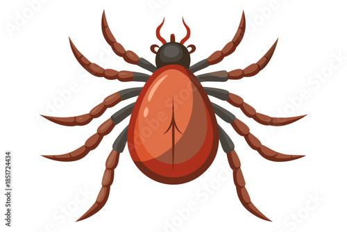 Realistic Tick Insect Illustration – Detailed Vector Parasite for Medical and Scientific Use