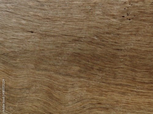 Old wood texture