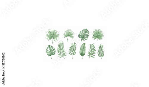 Hand drawn watercolor tropical leaf collection, elegant botanical foliage branches with soft green tones, delicate brush strokes, romantic and airy composition, perfect for wedding invitation, save th