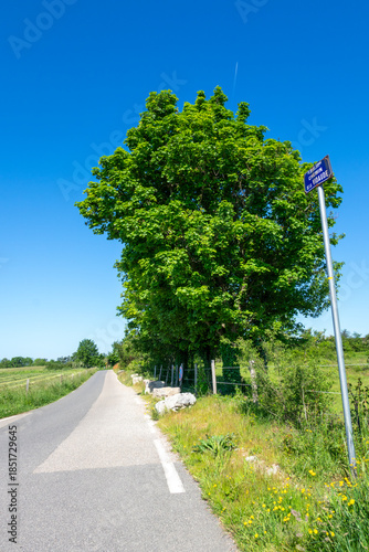 Chemin de la Pierre Souveraine - Saint-Genis-Laval - Auvergne-Rhône-Alpes - France