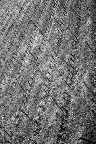 Black and white view of a vineyard - Saint-Genis-Laval - Auvergne-Rhône-Alpes - France