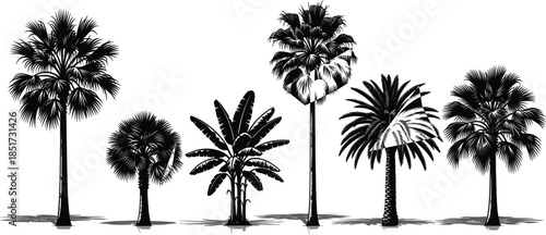 Set of six tropical palm tree silhouettes with detailed hand drawn sketch style isolated on white background for summer beach and travel design vector