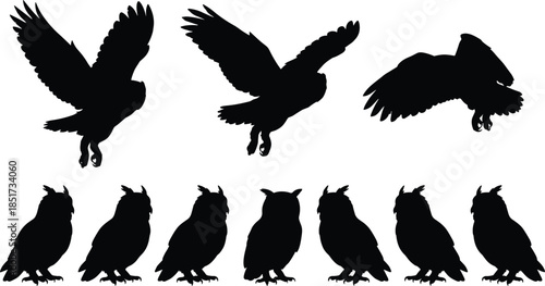 Black Owl Silhouettes in Flight and Perched Poses for Wildlife, Nature, Birdwatching, Education, and Graphic Design Projects