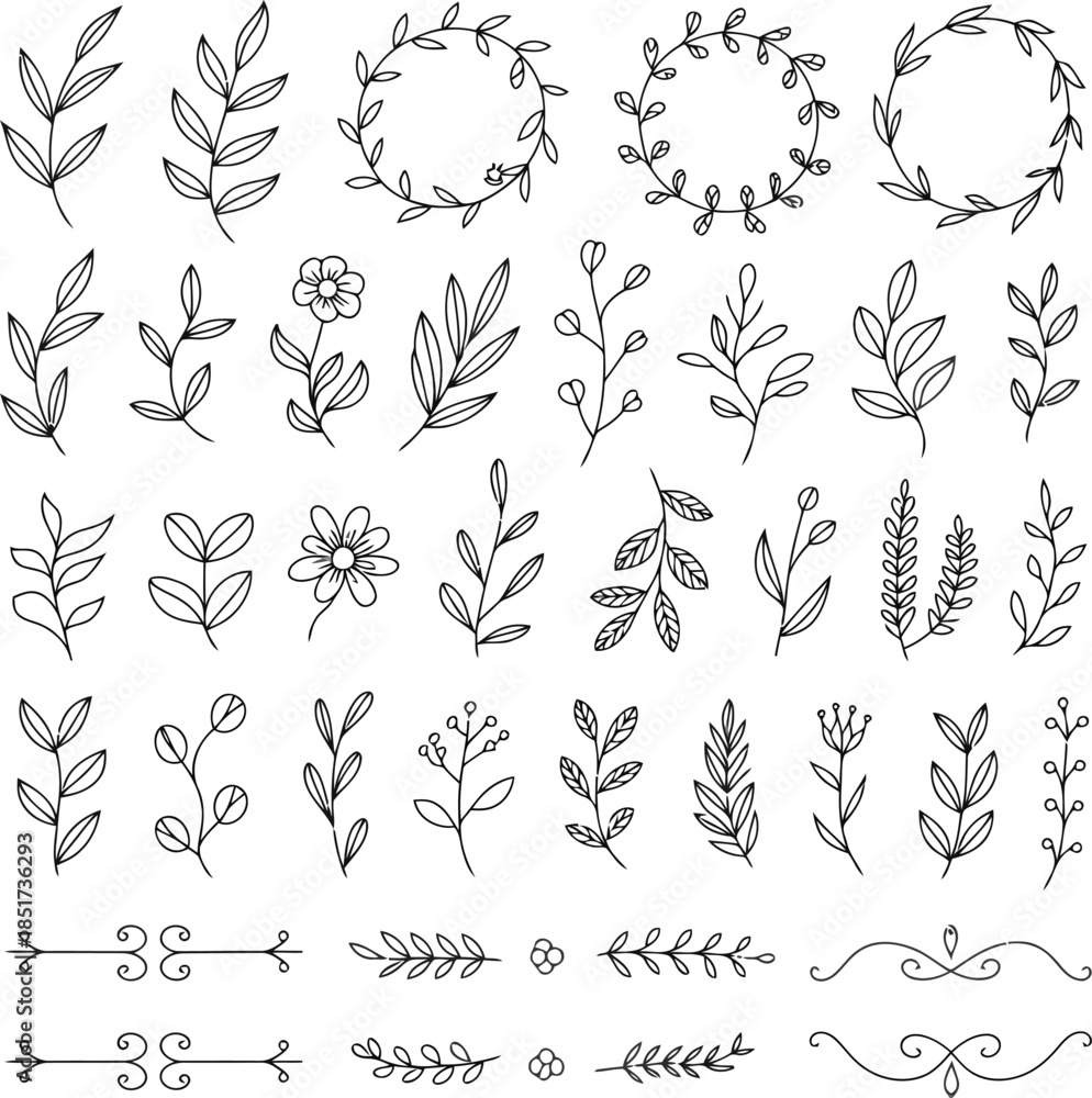 Fototapeta premium A large collection of hand drawn floral elements and decorative flourishes on a white background