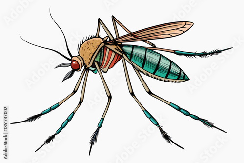 High-quality vector illustration of a mosquito in detailed line art style. This black and white insect outline is perfect for educational materials, biology textbooks, scientific posters, and healthca