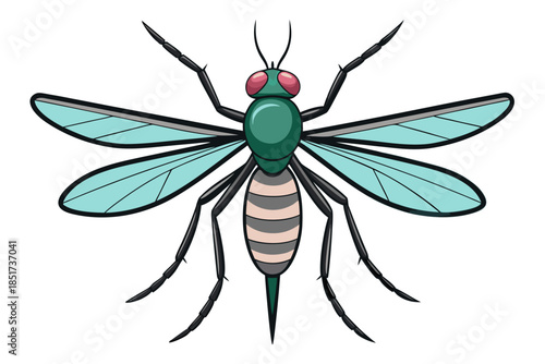 High-quality vector illustration of a mosquito in detailed line art style. This black and white insect outline is perfect for educational materials, biology textbooks, scientific posters, and healthca
