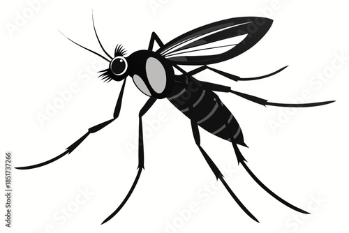 High-quality vector illustration of a mosquito in detailed line art style. This black and white insect outline is perfect for educational materials, biology textbooks, scientific posters, and healthca