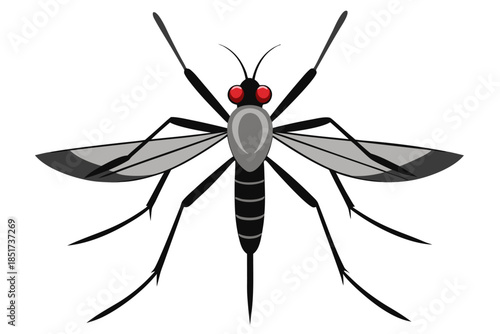High-quality vector illustration of a mosquito in detailed line art style. This black and white insect outline is perfect for educational materials, biology textbooks, scientific posters, and healthca