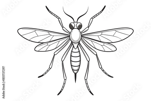 High-quality vector illustration of a mosquito in detailed line art style. This black and white insect outline is perfect for educational materials, biology textbooks, scientific posters, and healthca