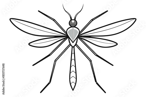 High-quality vector illustration of a mosquito in detailed line art style. This black and white insect outline is perfect for educational materials, biology textbooks, scientific posters, and healthca