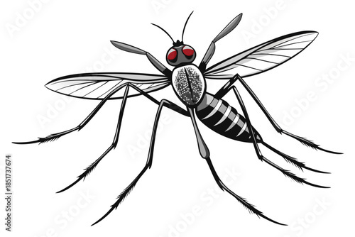 High-quality vector illustration of a mosquito in detailed line art style. This black and white insect outline is perfect for educational materials, biology textbooks, scientific posters, and healthca
