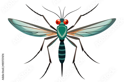 High-quality vector illustration of a mosquito in detailed line art style. This black and white insect outline is perfect for educational materials, biology textbooks, scientific posters, and healthca