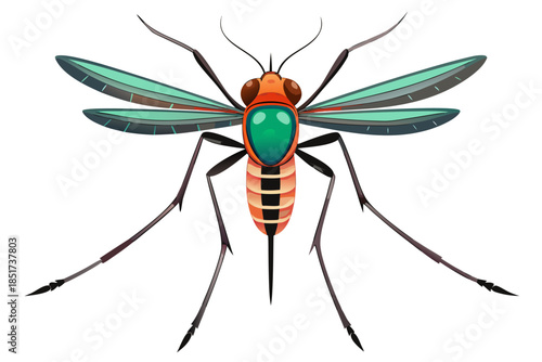 High-quality vector illustration of a mosquito in detailed line art style. This black and white insect outline is perfect for educational materials, biology textbooks, scientific posters, and healthca