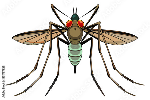 High-quality vector illustration of a mosquito in detailed line art style. This black and white insect outline is perfect for educational materials, biology textbooks, scientific posters, and healthca