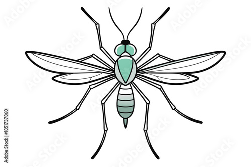 High-quality vector illustration of a mosquito in detailed line art style. This black and white insect outline is perfect for educational materials, biology textbooks, scientific posters, and healthca