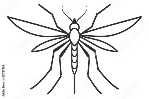 High-quality vector illustration of a mosquito in detailed line art style. This black and white insect outline is perfect for educational materials, biology textbooks, scientific posters, and healthca