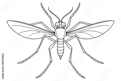 High-quality vector illustration of a mosquito in detailed line art style. This black and white insect outline is perfect for educational materials, biology textbooks, scientific posters, and healthca