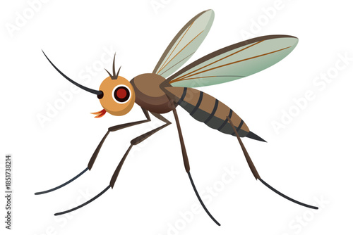 High-quality vector illustration of a mosquito in detailed line art style. This black and white insect outline is perfect for educational materials, biology textbooks, scientific posters, and healthca