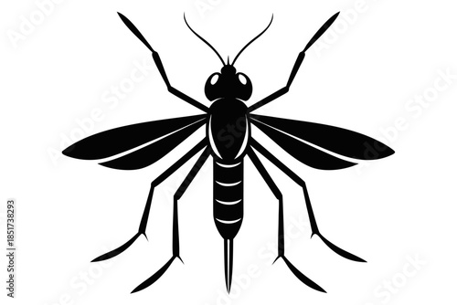 High-quality vector illustration of a mosquito in detailed line art style. This black and white insect outline is perfect for educational materials, biology textbooks, scientific posters, and healthca