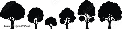 Silhouette illustration of six diverse tree shapes in black, showcasing canopy and trunk variations – botanical and design reference