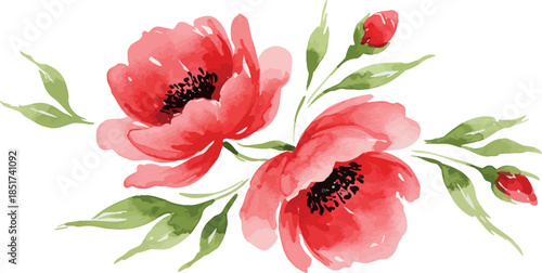 Watercolor painting of two red poppies with green leaves and buds