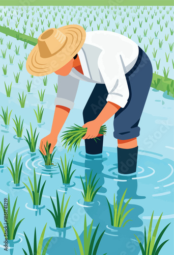 Farmer planting rice stalks in a flooded field
