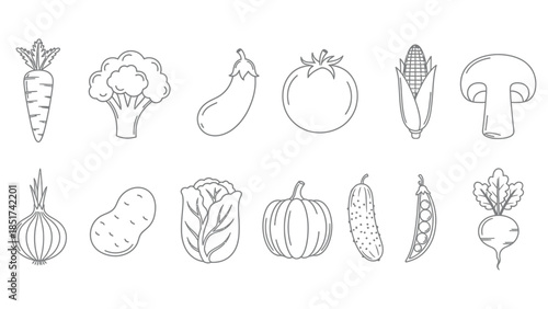 Collection of simple line art icons representing various fresh vegetables