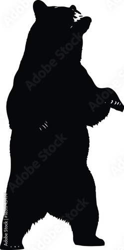 Silhouette of a grizzly bear standing on hind legs
