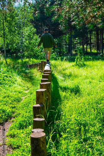 Natural wooden log stepping path, balance beams playground for children in park