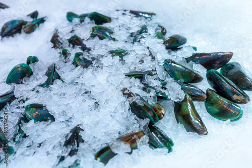 Close up of fresh fish on ice at Doha Fish Market, Qatar