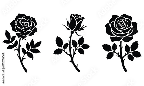 Black rose vector illustration floral silhouettes for graphic design stickers amp patterns
