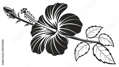 Elegant black and white hibiscus flower illustration with leaves