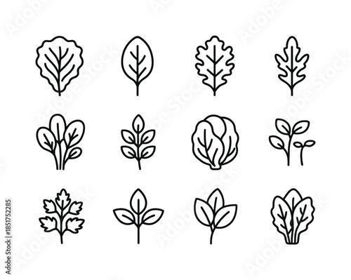 Leafy Greens Icons. Leafy Greens. Line icon set of Leafy Greens: